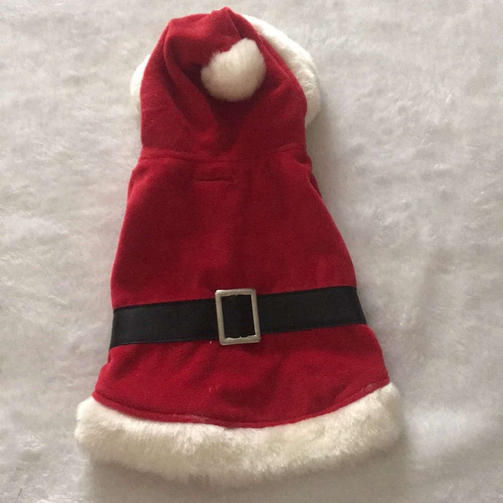 Santa Suit and Naughty Shirt - Picture 4 of 7